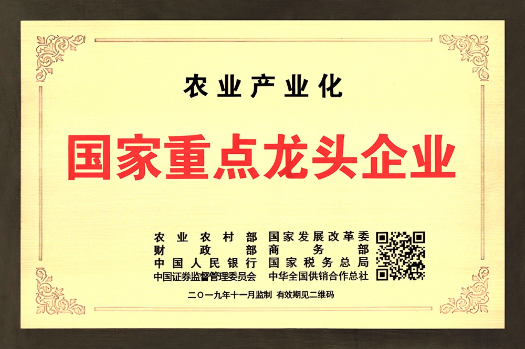 YINSHINE national key leading enterprise honor