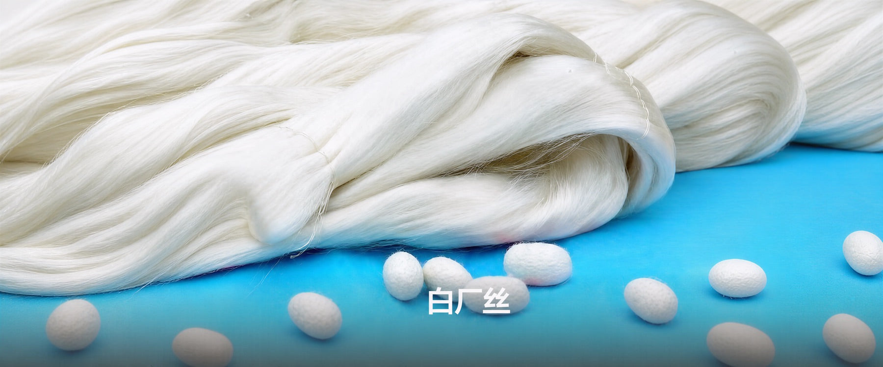 Mulberry cocoons and raw silk material
