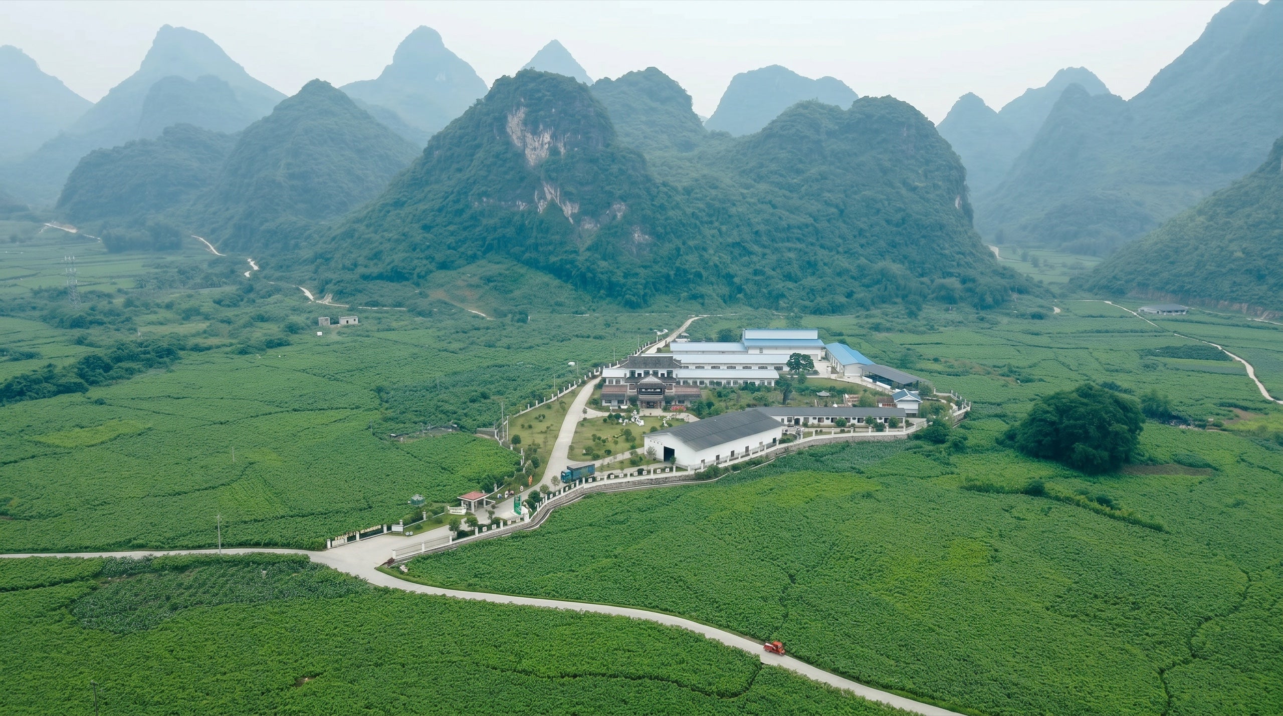 Panoramic view of YINSHINE's mulberry plantation base in Guangxi